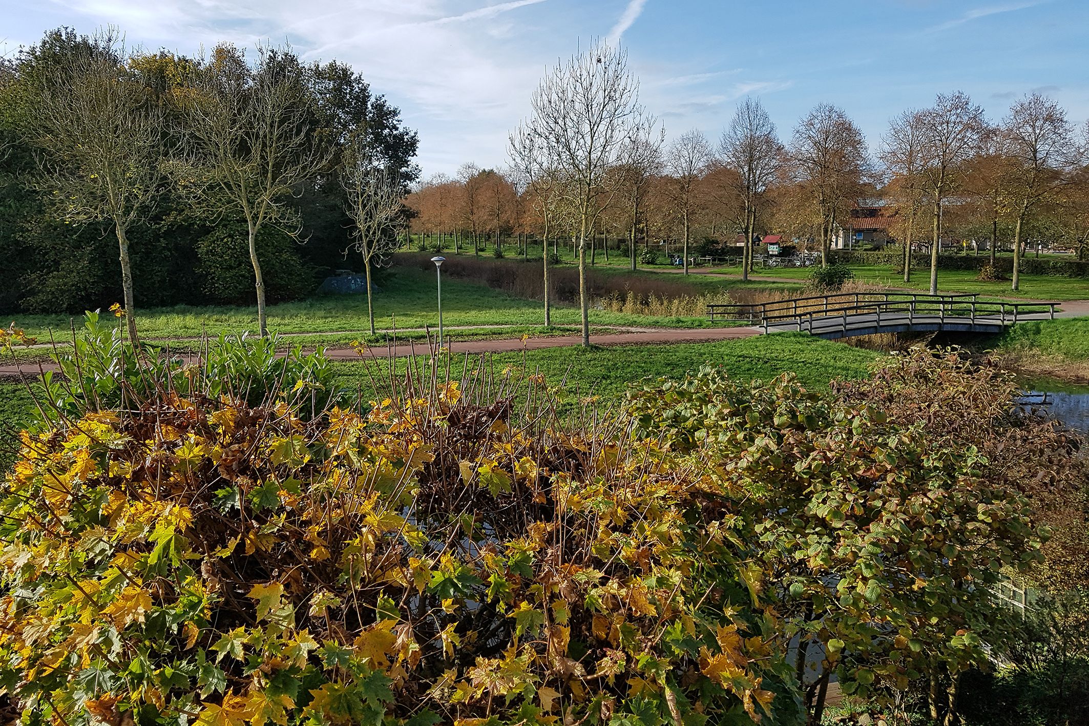 Foto 39 van Vosseveld 21