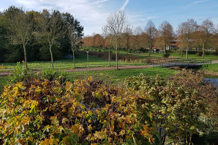 Foto 39 van Vosseveld 21