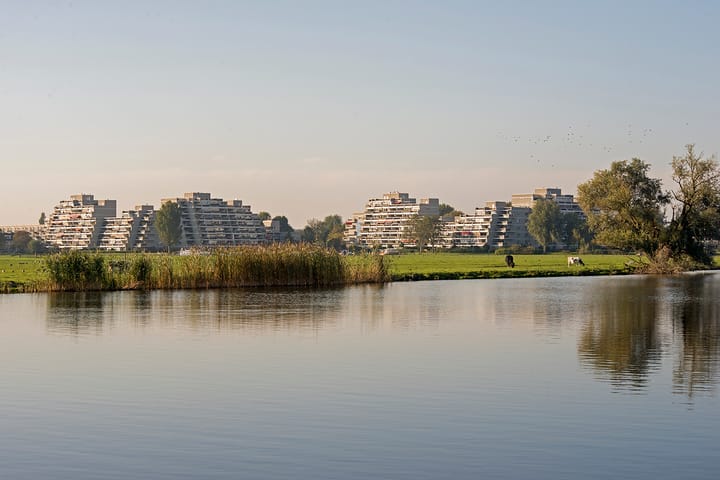 Foto 43 van Bartoklaan 8