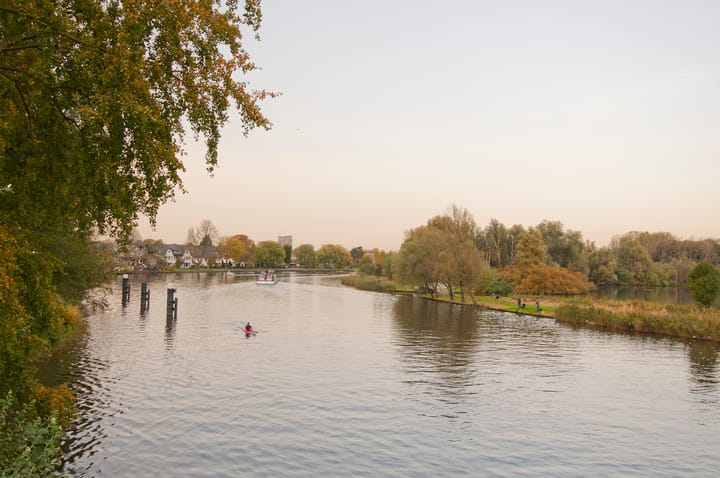 Foto 47 van Bartoklaan 8