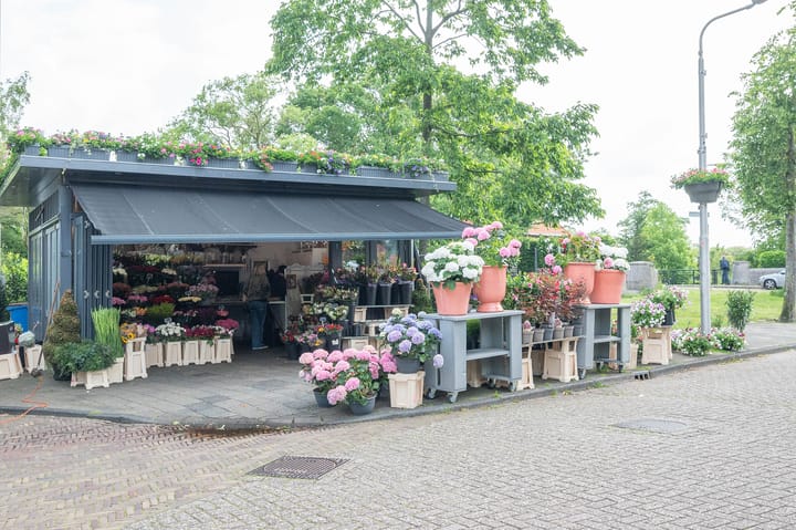 Foto 48 van Bartoklaan 8