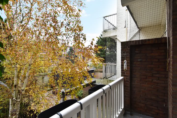 Foto 18 van Caan van Necklaan 126