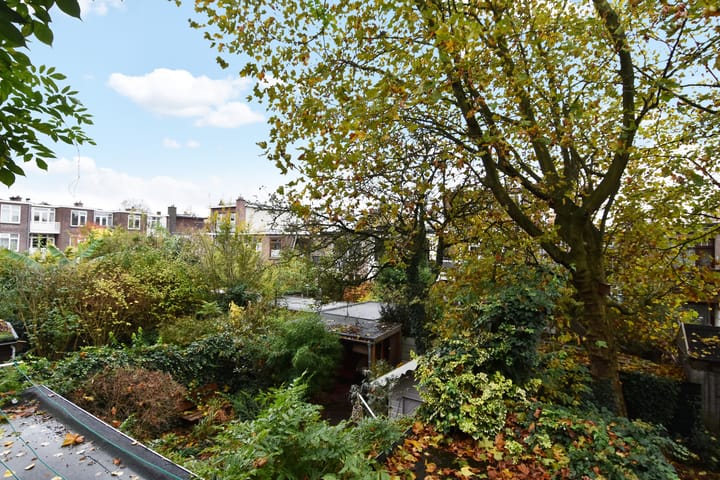 Foto 19 van Caan van Necklaan 126