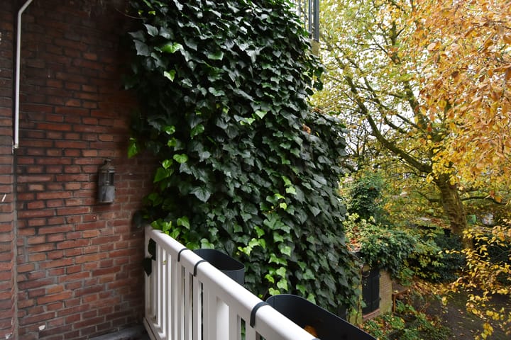 Foto 20 van Caan van Necklaan 126