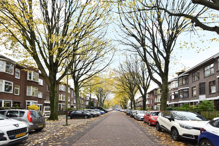 Foto 30 van Caan van Necklaan 126