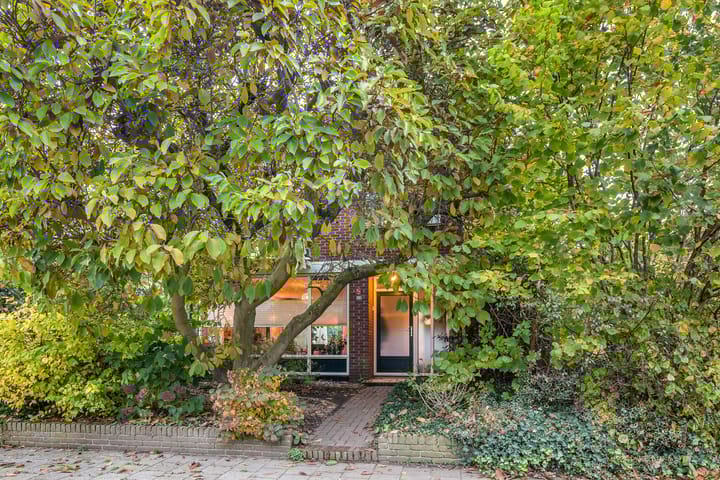 Foto 45 van Amsivarilaan 27