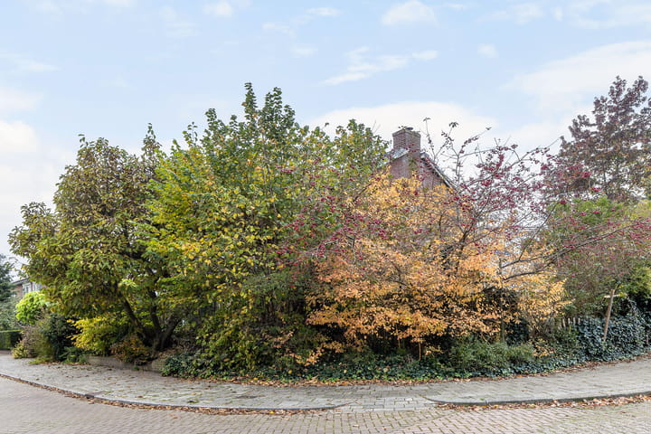 Foto 46 van Amsivarilaan 27