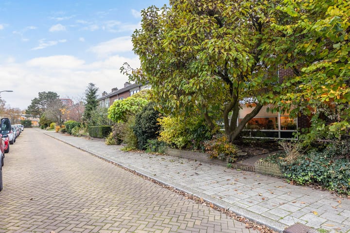 Foto 48 van Amsivarilaan 27