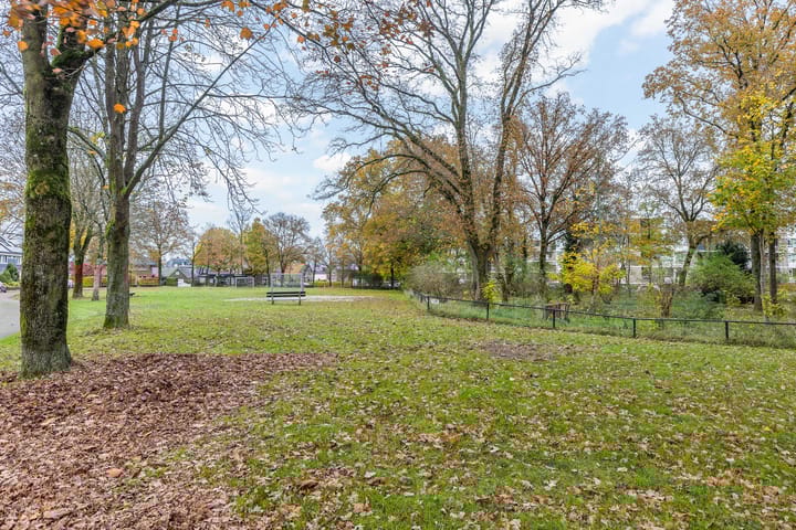 Foto 49 van Amsivarilaan 27