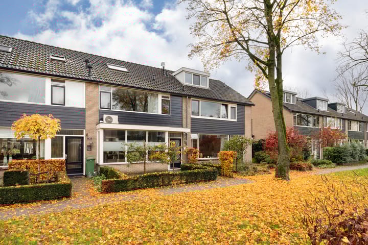 Foto 5 van Wittenburg 191