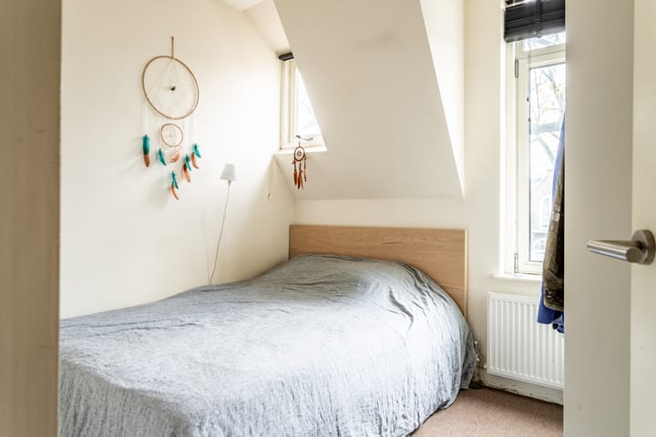 Photo 15 of Adriaen van Ostadelaan 102-A