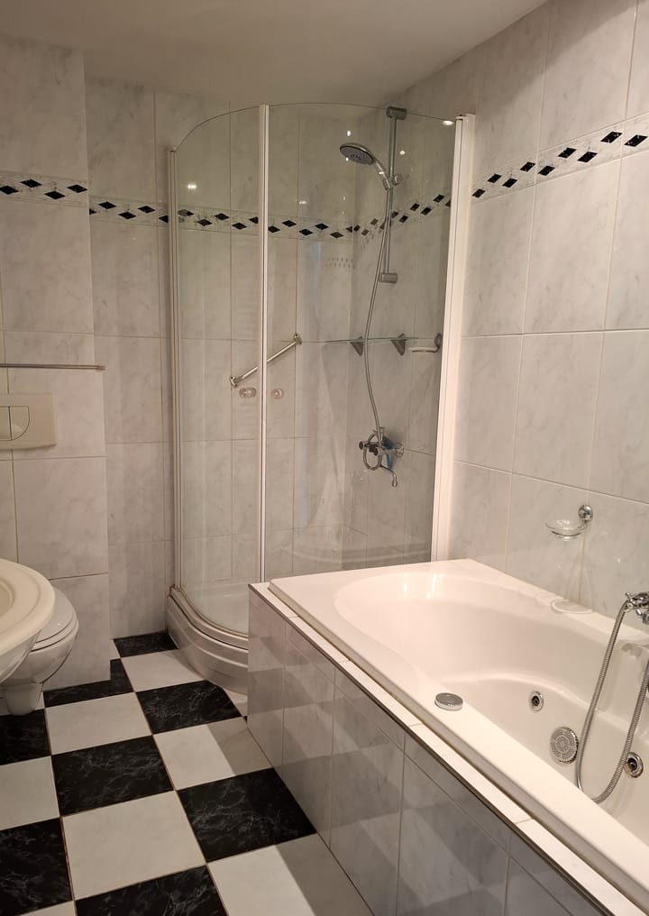 Foto 18 van Westlander 69