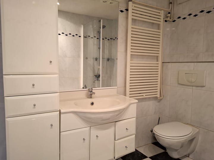 Foto 19 van Westlander 69