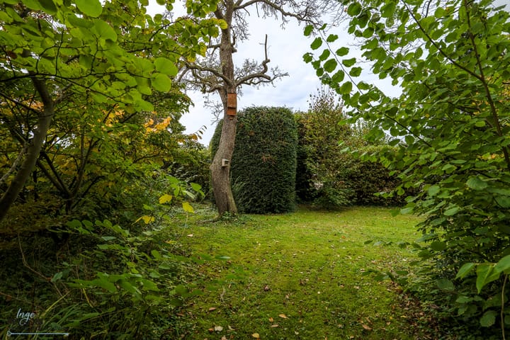 Foto 31 van Kerkstraat 10