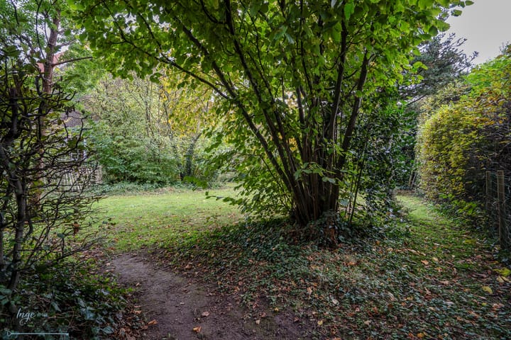 Foto 32 van Kerkstraat 10