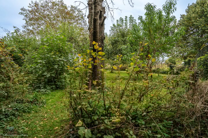 Foto 34 van Kerkstraat 10