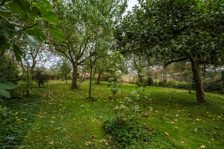 Foto 35 van Kerkstraat 10