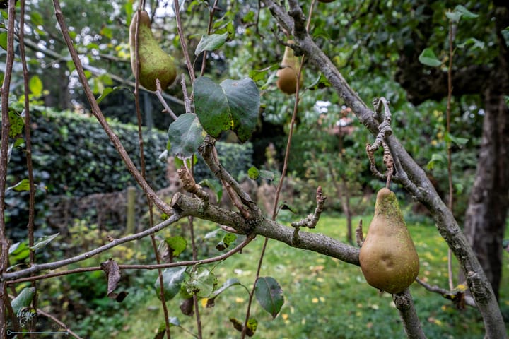 Foto 36 van Kerkstraat 10