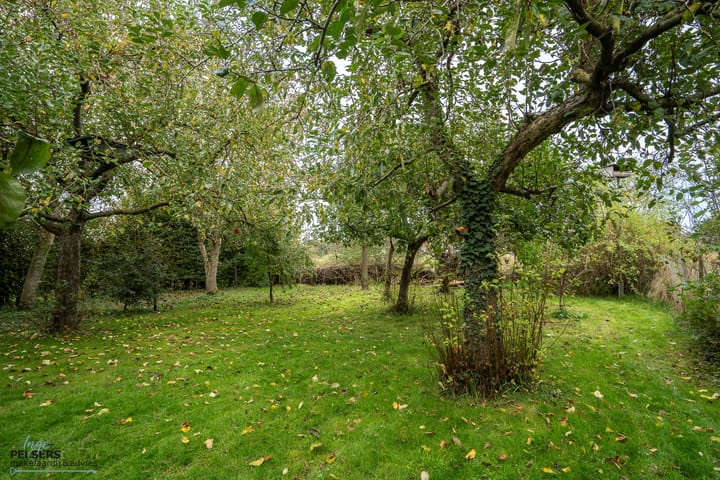 Foto 37 van Kerkstraat 10