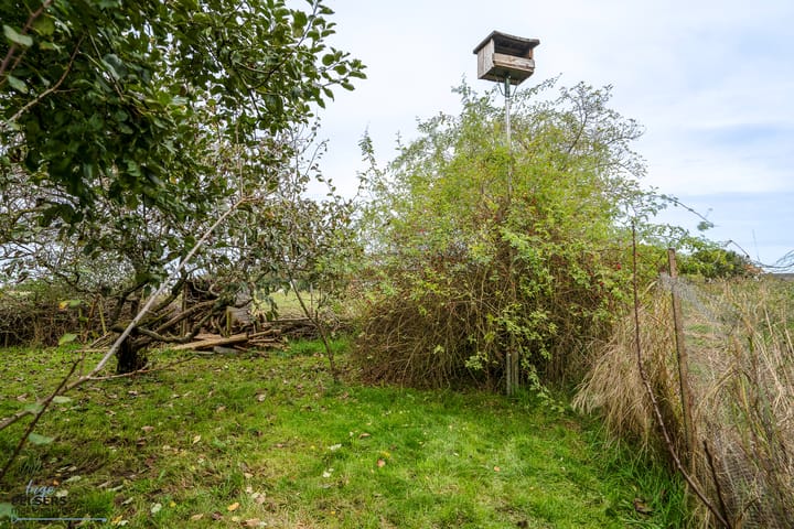 Foto 38 van Kerkstraat 10