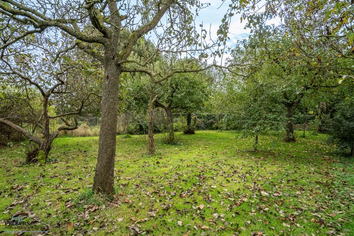 Foto 41 van Kerkstraat 10