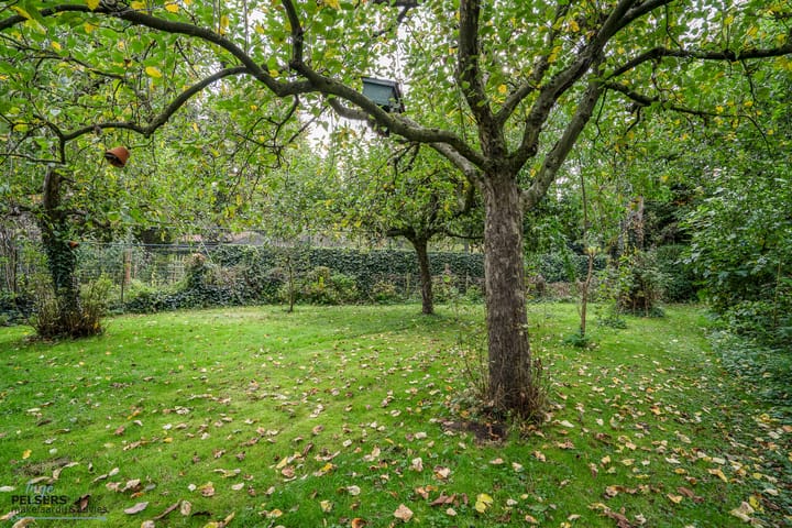 Foto 42 van Kerkstraat 10