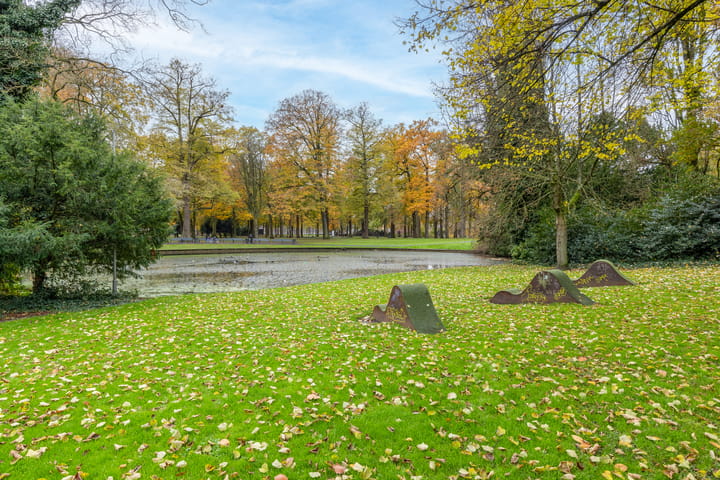 Foto 41 van Seeligsingel 27