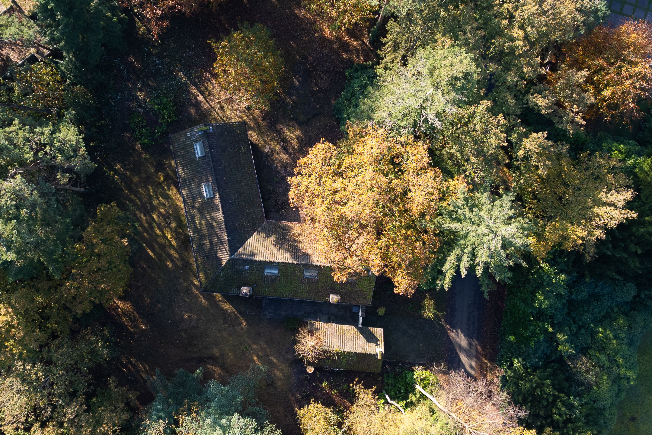 Foto 3 van Jan van Rotselaerlaan 4