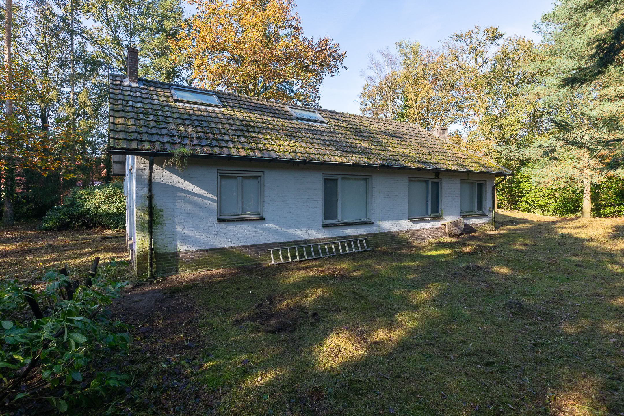 Foto 6 van Jan van Rotselaerlaan 4