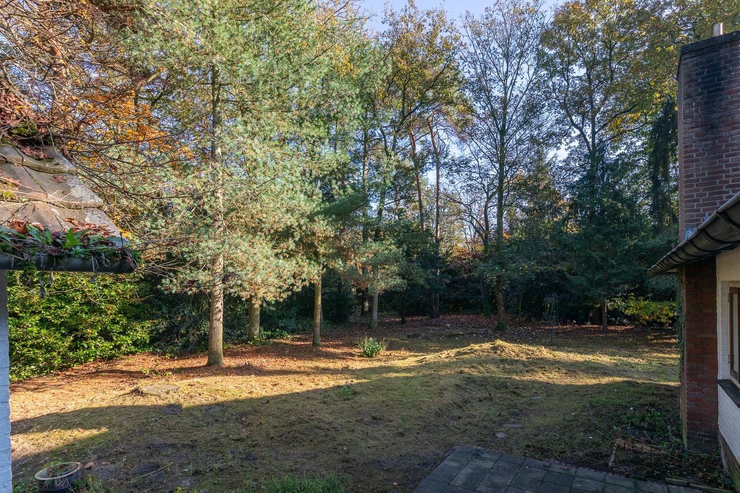 Foto 10 van Jan van Rotselaerlaan 4