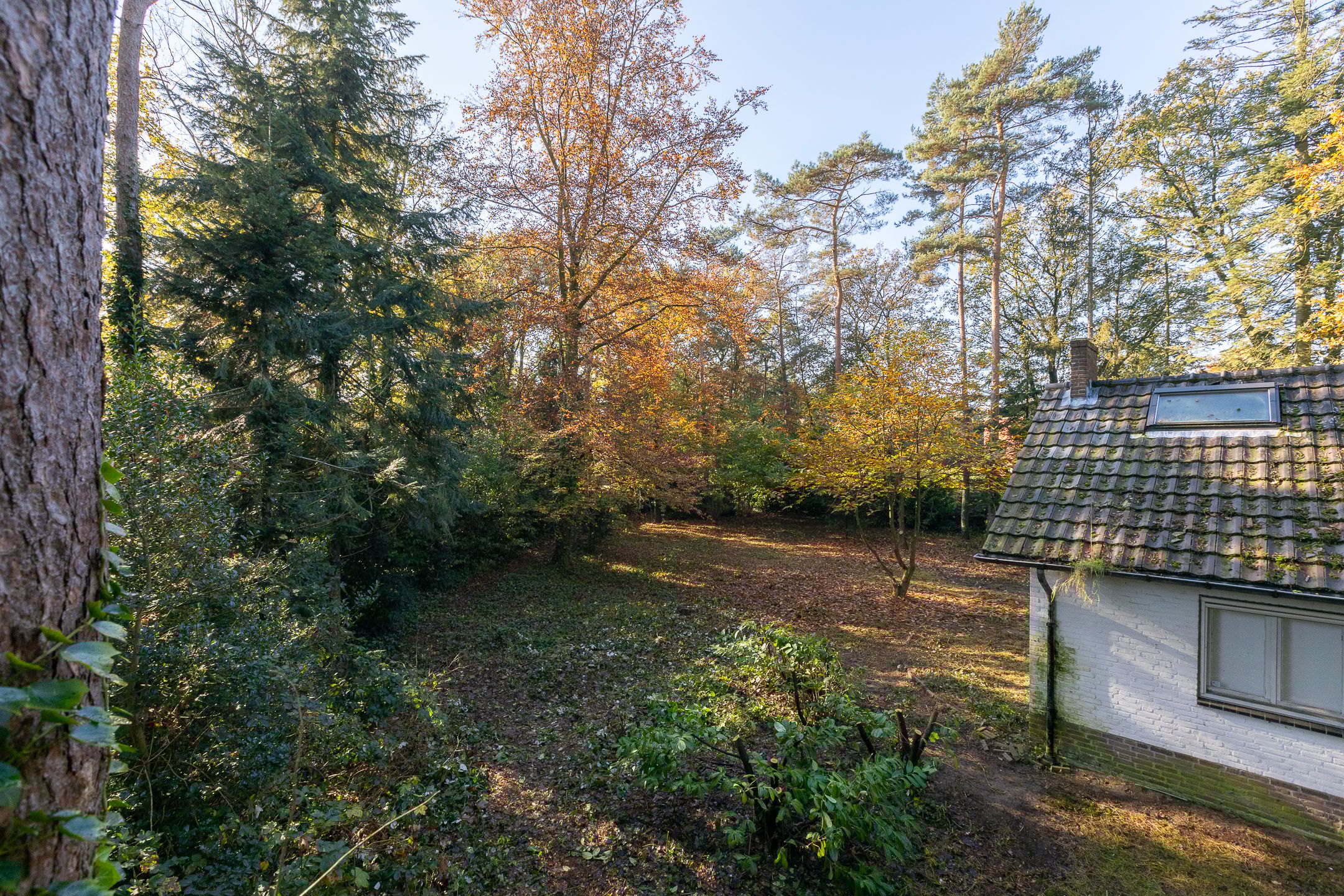 Foto 12 van Jan van Rotselaerlaan 4