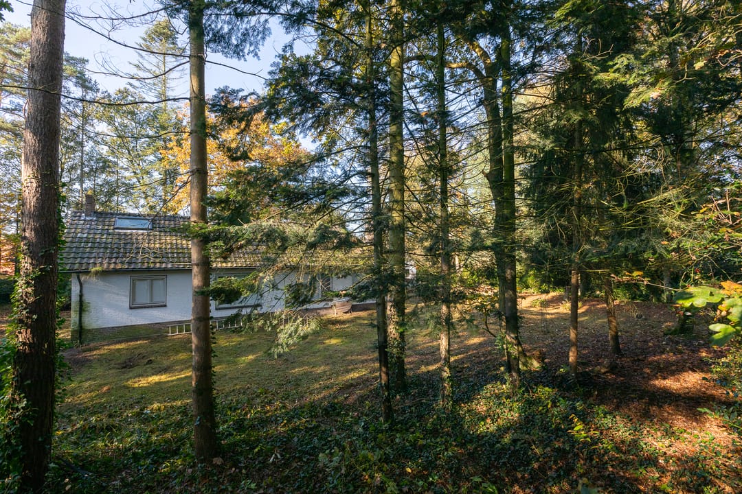 Foto 13 van Jan van Rotselaerlaan 4