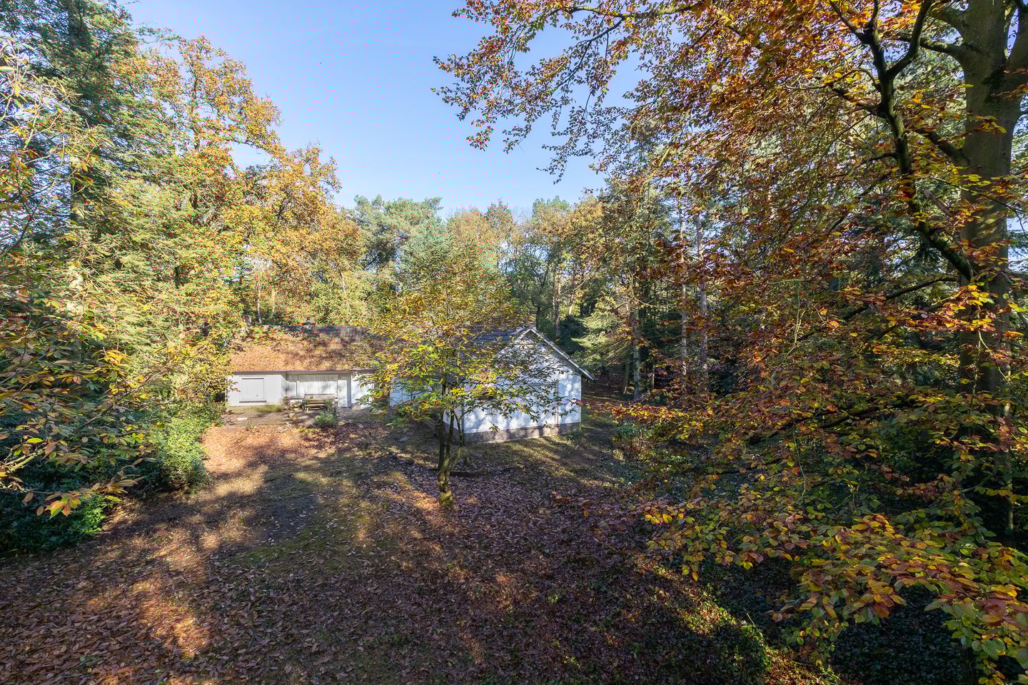 Foto 14 van Jan van Rotselaerlaan 4