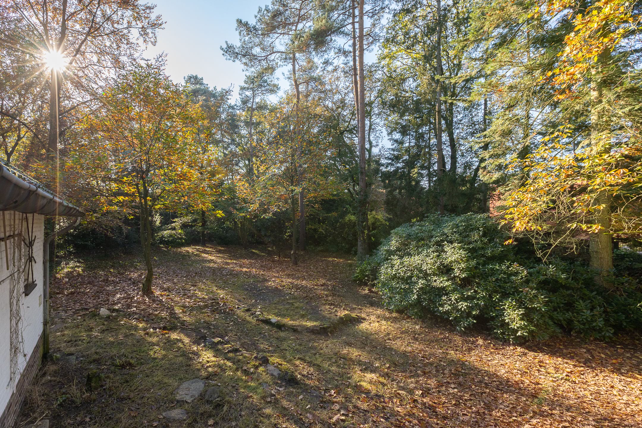 Foto 15 van Jan van Rotselaerlaan 4