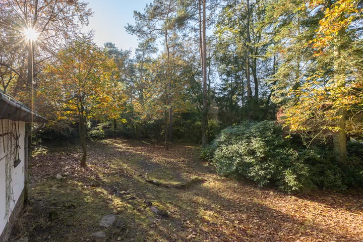 Foto 15 van Jan van Rotselaerlaan 4