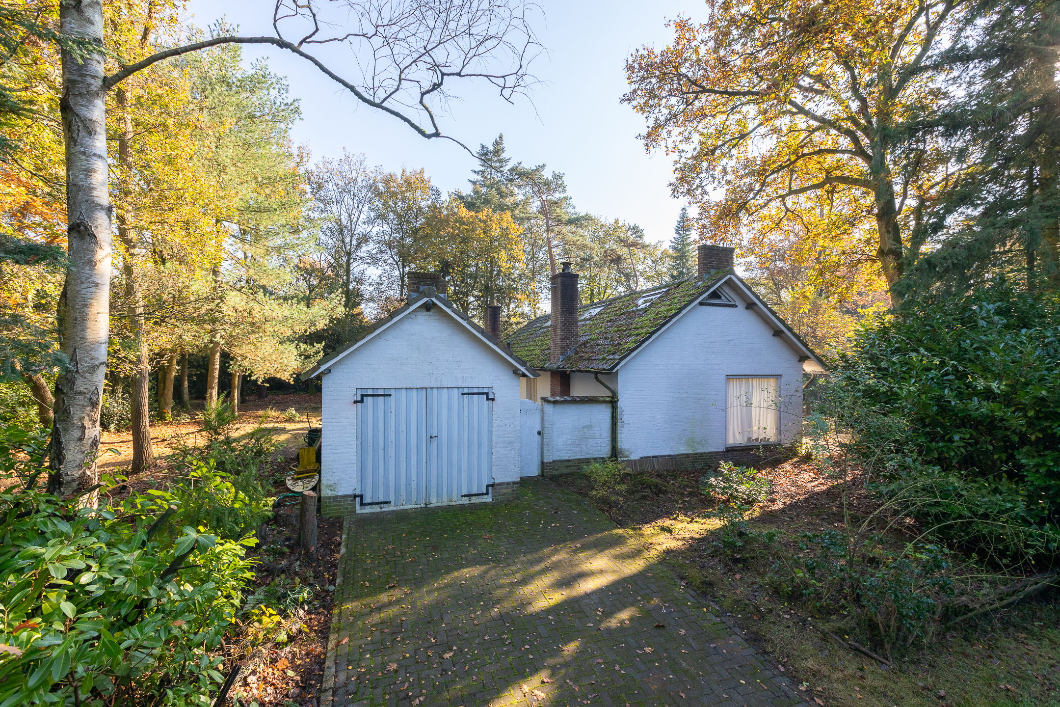 Foto 18 van Jan van Rotselaerlaan 4