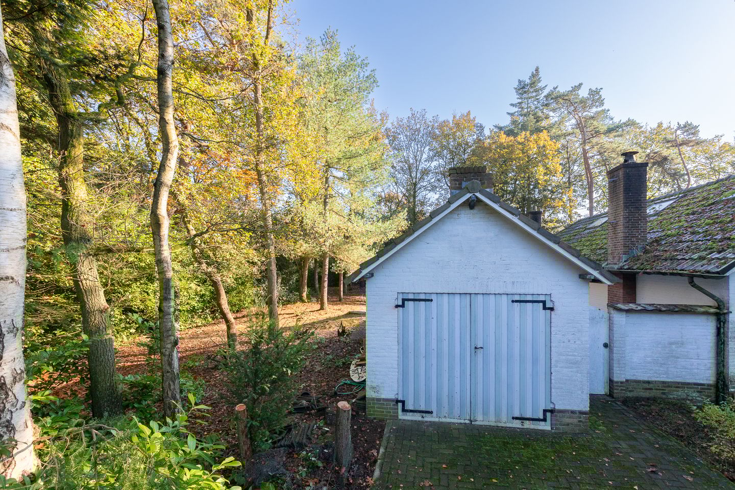 Foto 19 van Jan van Rotselaerlaan 4