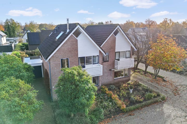 Foto 1 van Postduif 7