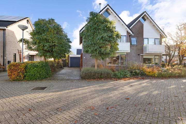 Foto 2 van Postduif 7