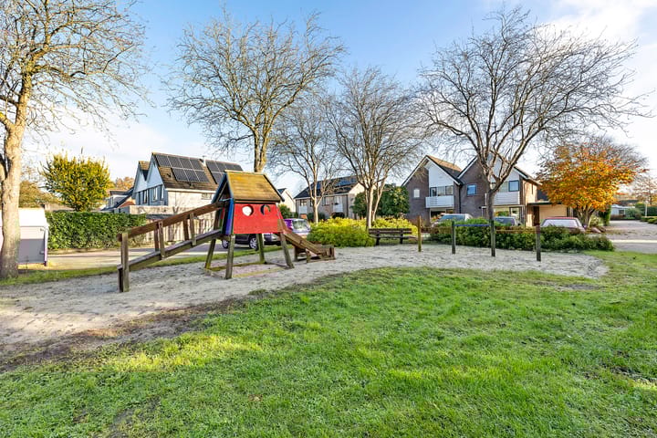 Foto 3 van Postduif 7