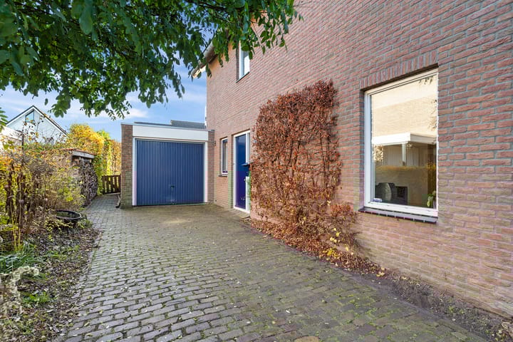 Foto 5 van Postduif 7