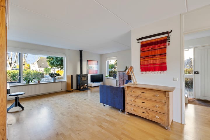 Foto 7 van Postduif 7