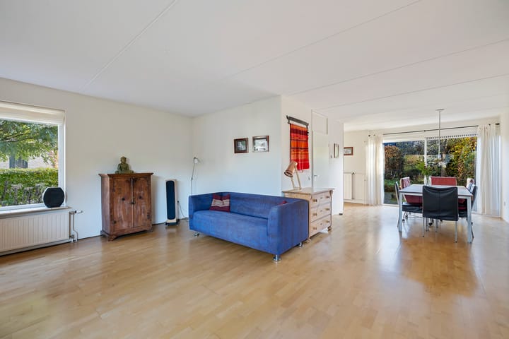 Foto 10 van Postduif 7