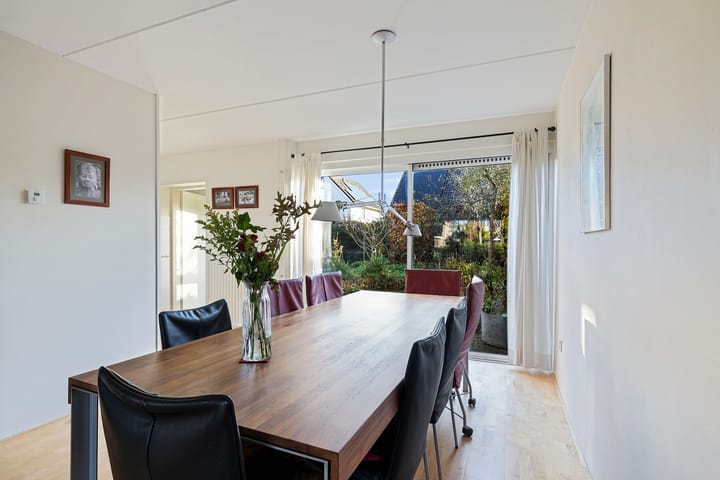 Foto 11 van Postduif 7