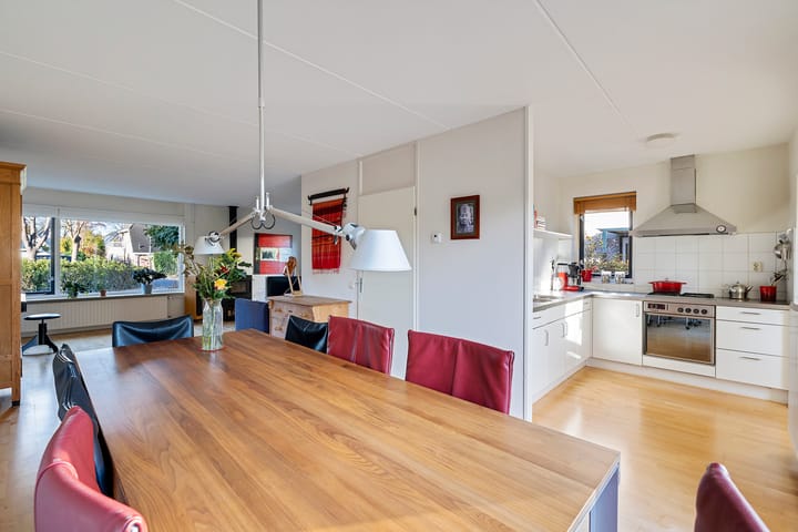 Foto 12 van Postduif 7