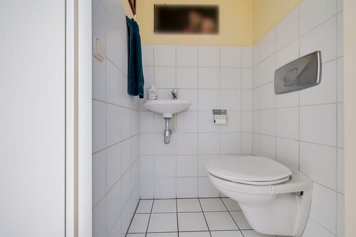 Foto 16 van Postduif 7