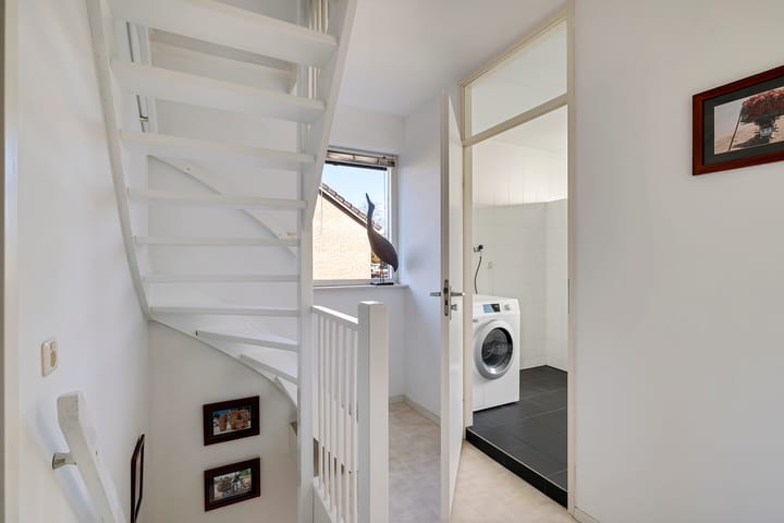 Foto 17 van Postduif 7