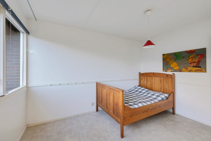 Foto 19 van Postduif 7