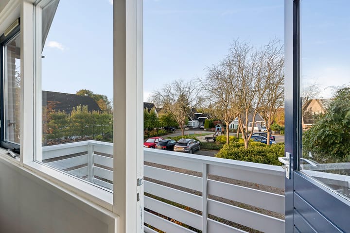 Foto 21 van Postduif 7