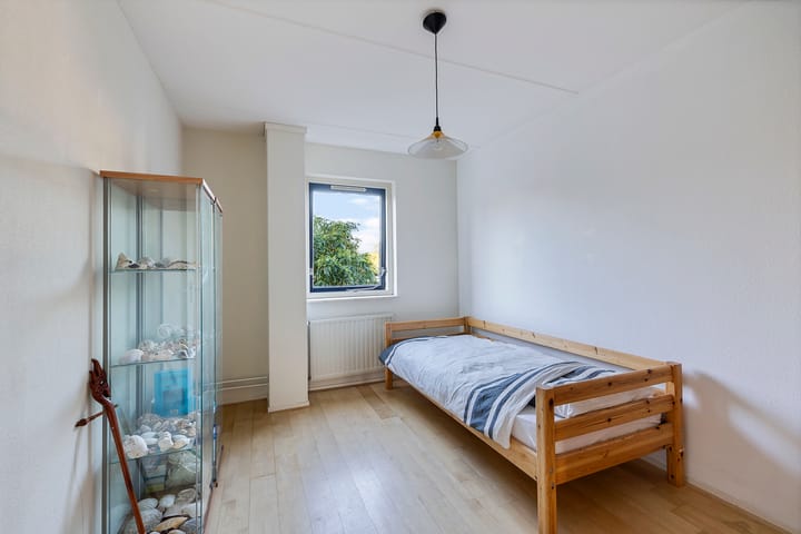 Foto 22 van Postduif 7